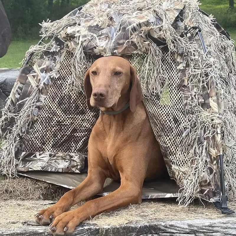 Outdoor Hunting Blinds - เต็นท์ซ่อนตัวสำหรับสุนัขล่าสัตว์กลางแจ้ง น้ำหนักเบา ลายพราง กันน้ำ พร้อมประตูแม่เหล็ก สำหรับการล่าเป็ดและห่าน