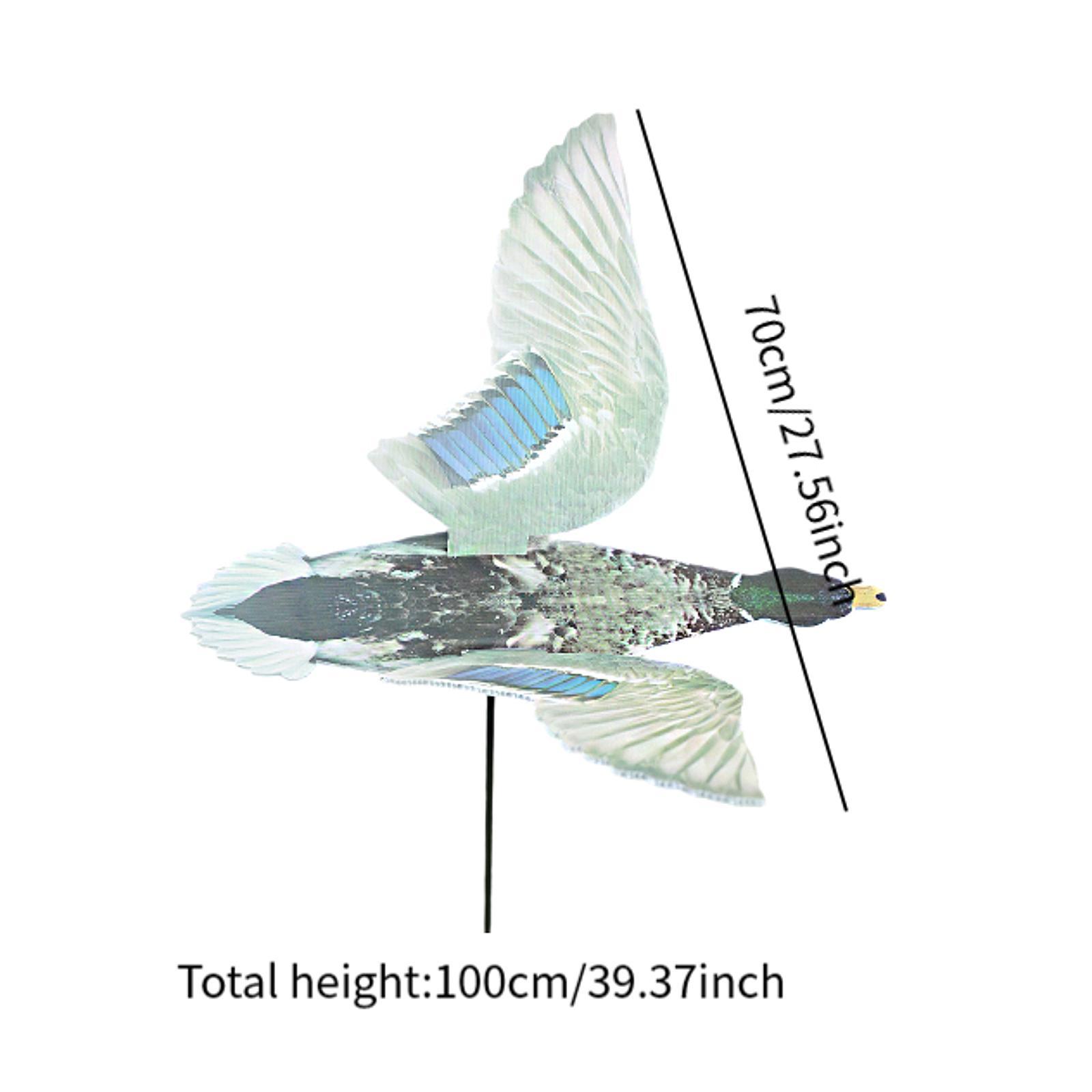หุ่นล่อเป็ดสำหรับล่าสัตว์กลางแ - Hunting Outdoor Decor บทวิจารณ์และราคา