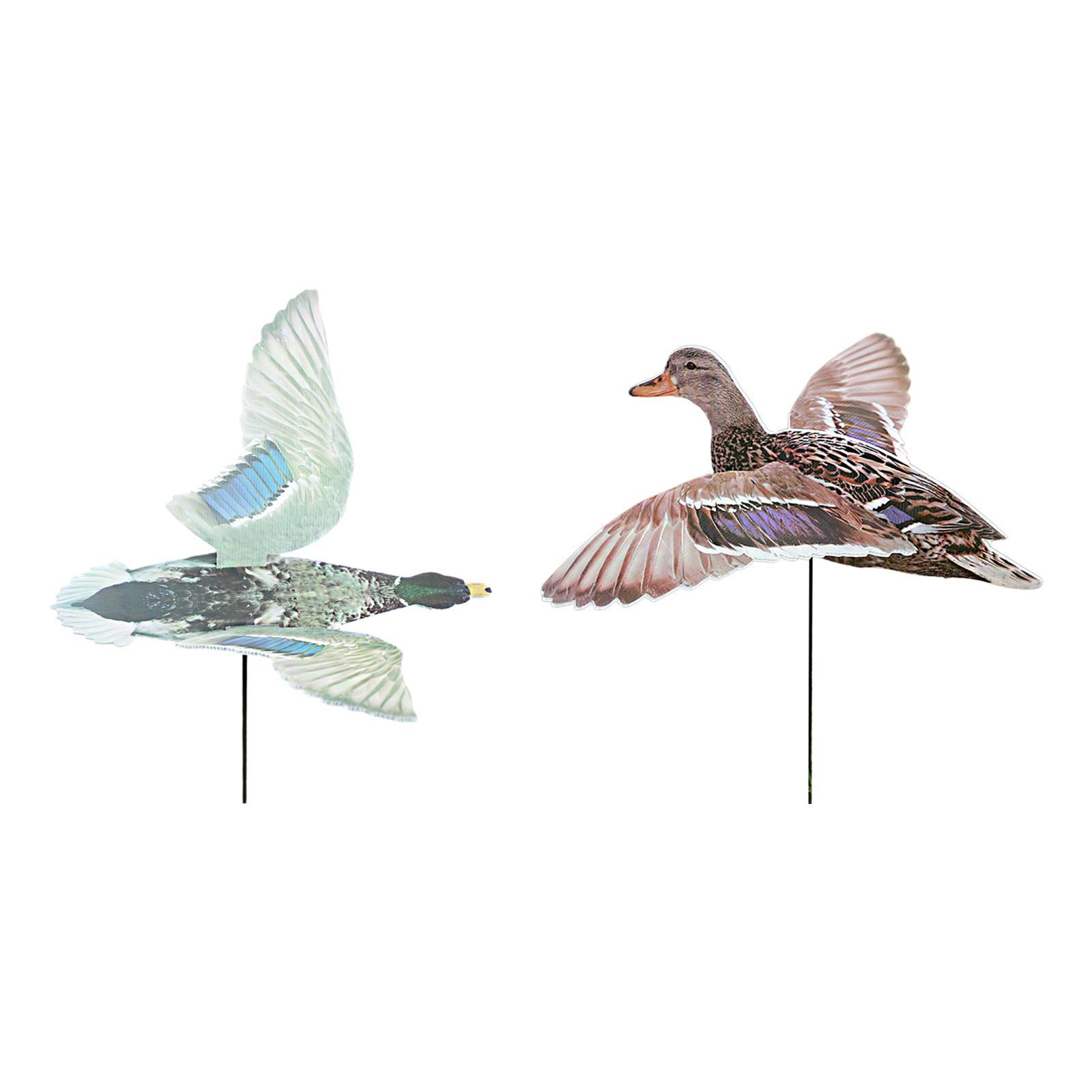 หุ่นล่อเป็ดสำหรับล่าสัตว์กลางแ - Hunting Outdoor Decor บทวิจารณ์และราคา