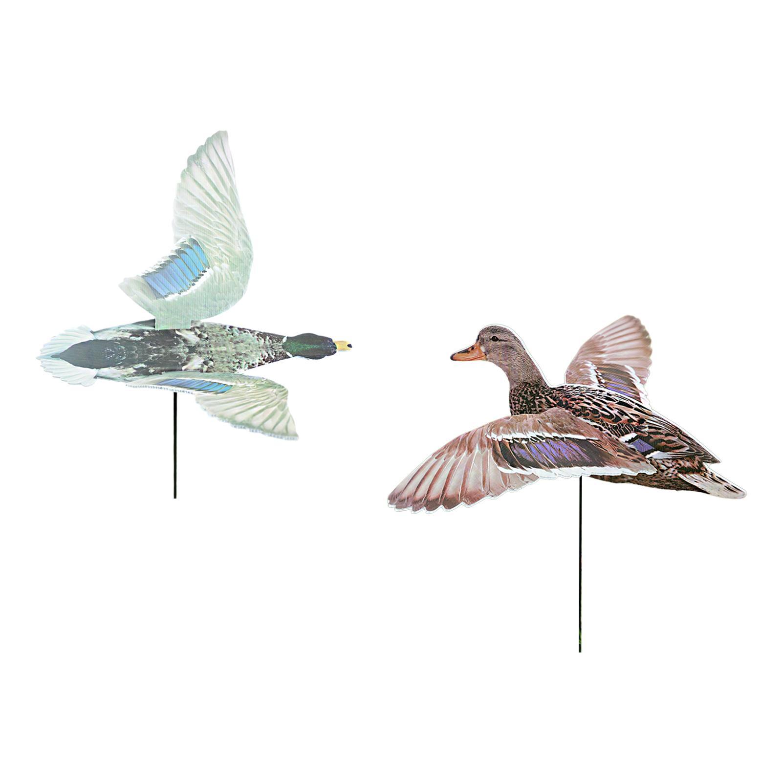 หุ่นล่อเป็ดสำหรับล่าสัตว์กลางแ - Hunting Outdoor Decor บทวิจารณ์และราคา