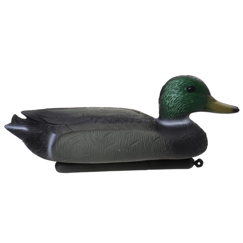 8 ชิ้น หุ่นจำลองเป็ด 3D แบบกลว - Hunting Outdoor Decor บทวิจารณ์และราคา