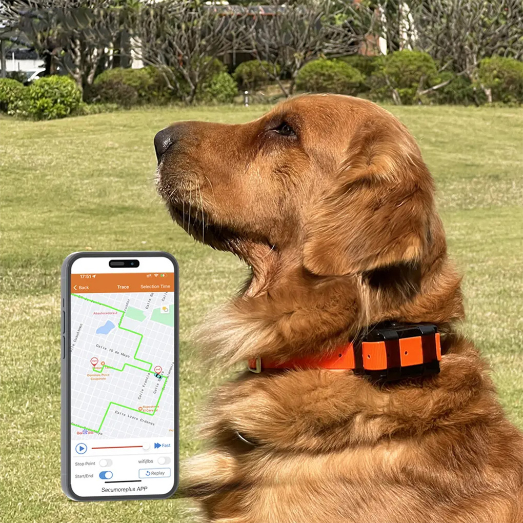 เครื่องติดตามสัตว์เลี้ยงแบบพกพ - Outdoor Hunting Dog Collar บทวิจารณ์และราคา