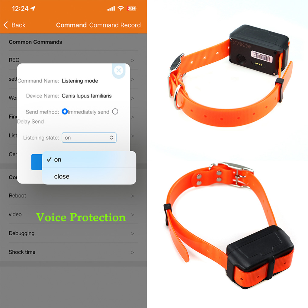 เครื่องติดตามสัตว์เลี้ยงแบบพกพ - Outdoor Hunting Dog Collar บทวิจารณ์และราคา