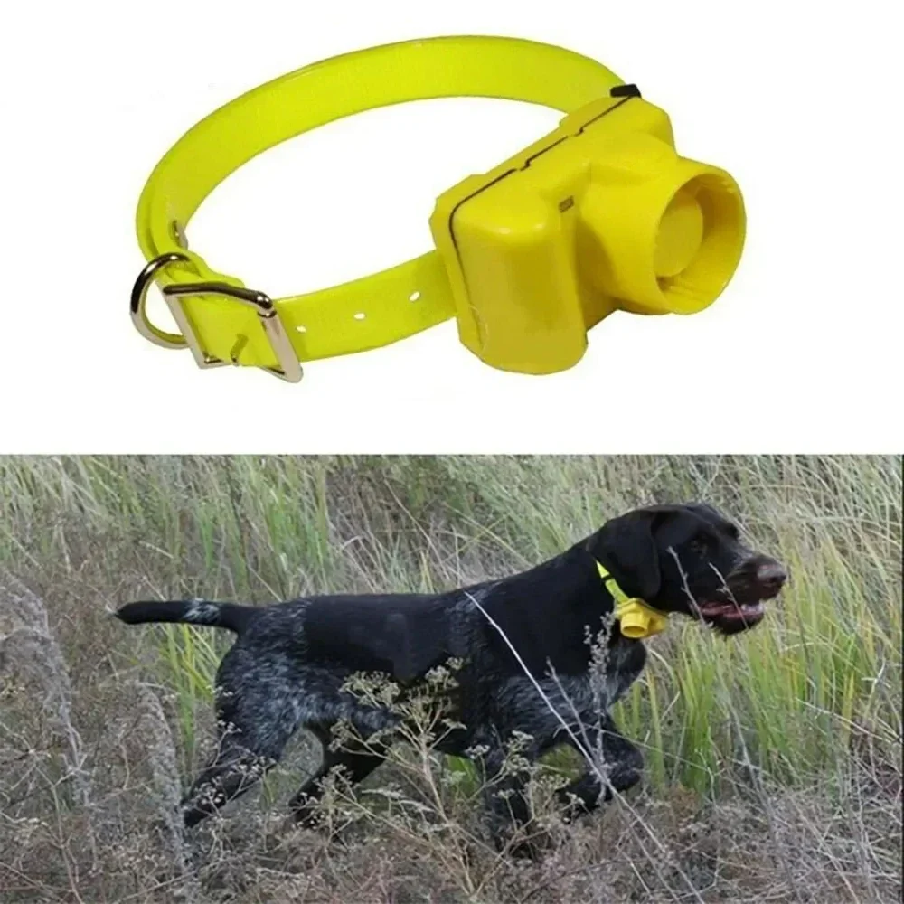 สถานที่แล้วสุนัขล่าสัตว์กลางแจ - Outdoor Hunting Dog Collar บทวิจารณ์และราคา