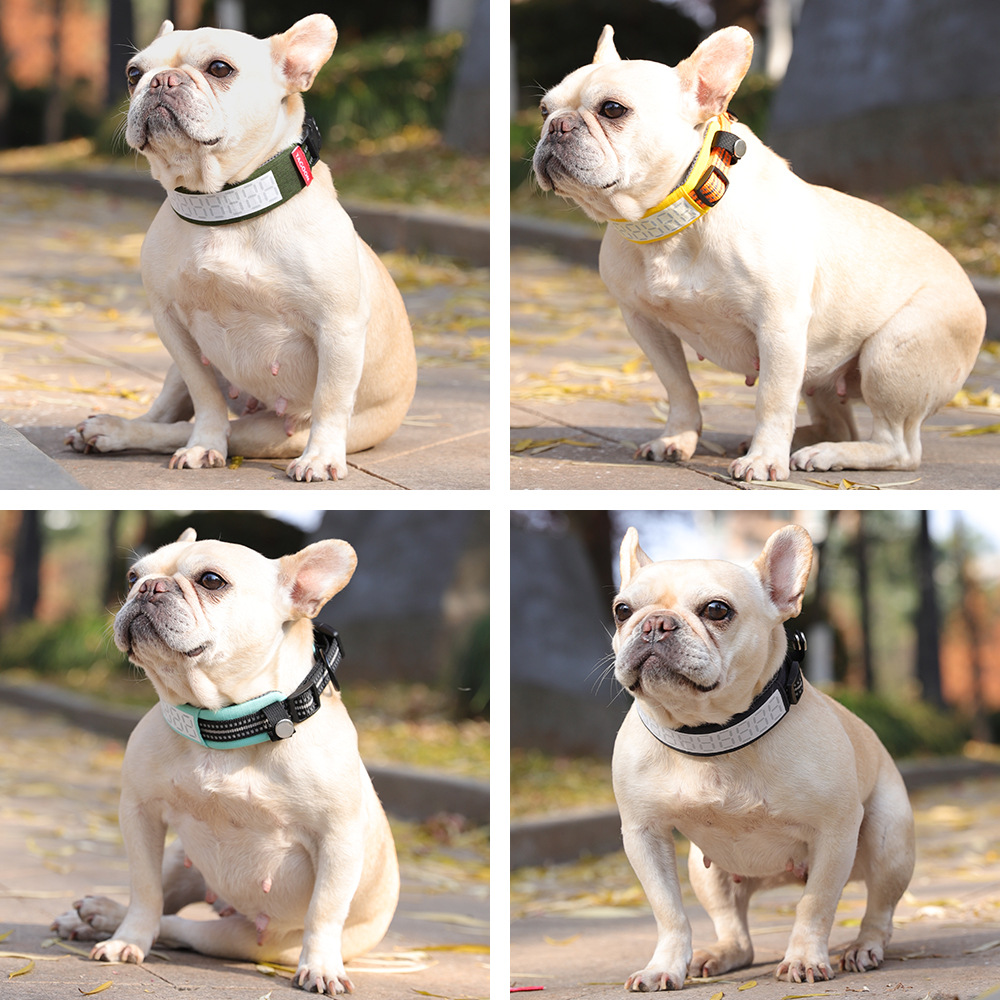 ปลอกคอสุนัขสะท้อนแสงสำหรับสุนั - Outdoor Hunting Dog Collar บทวิจารณ์และราคา