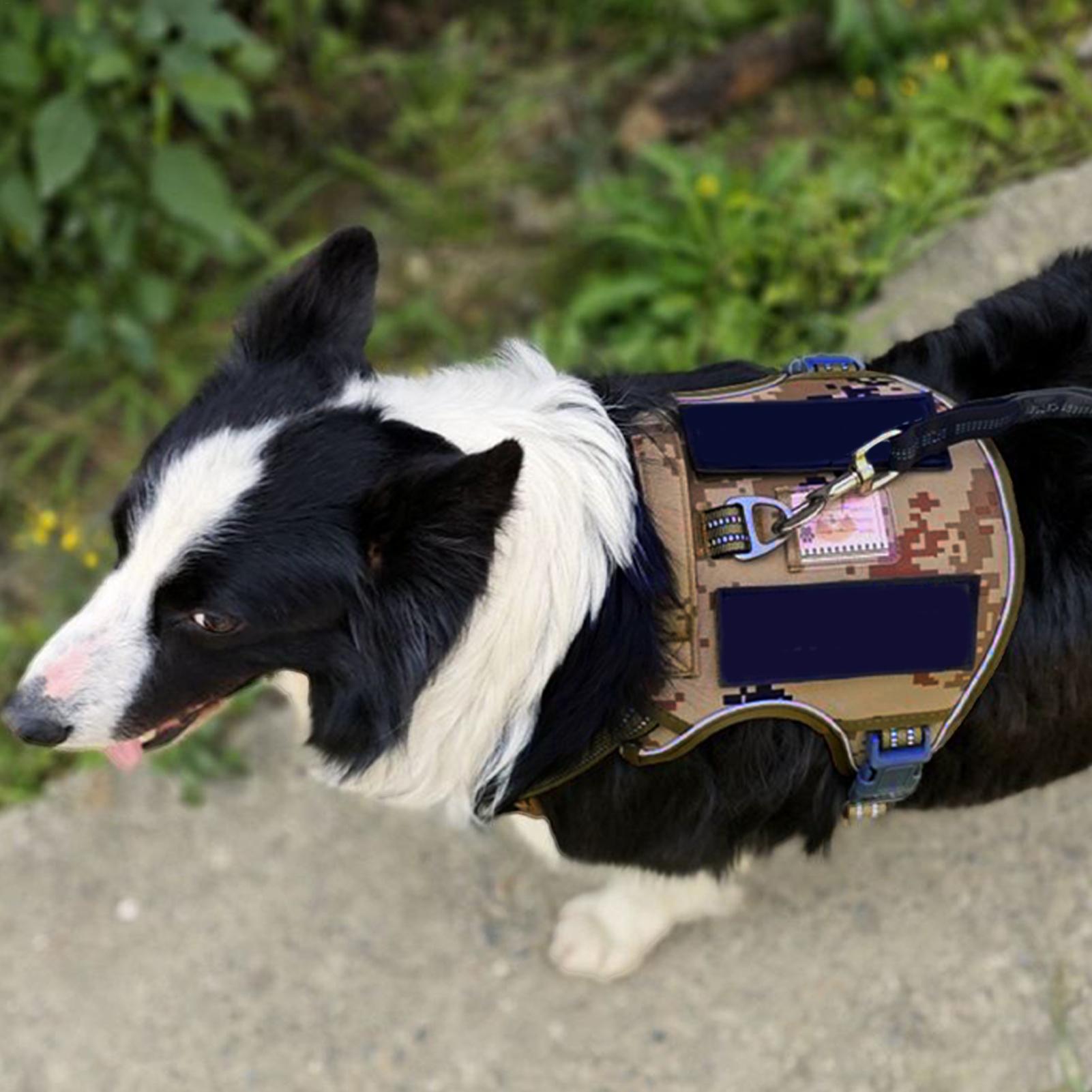 สายรัดสุนัขแบบมีหัวเข็มขัดโลหะ - Outdoor Hunting Dog Collar บทวิจารณ์และราคา