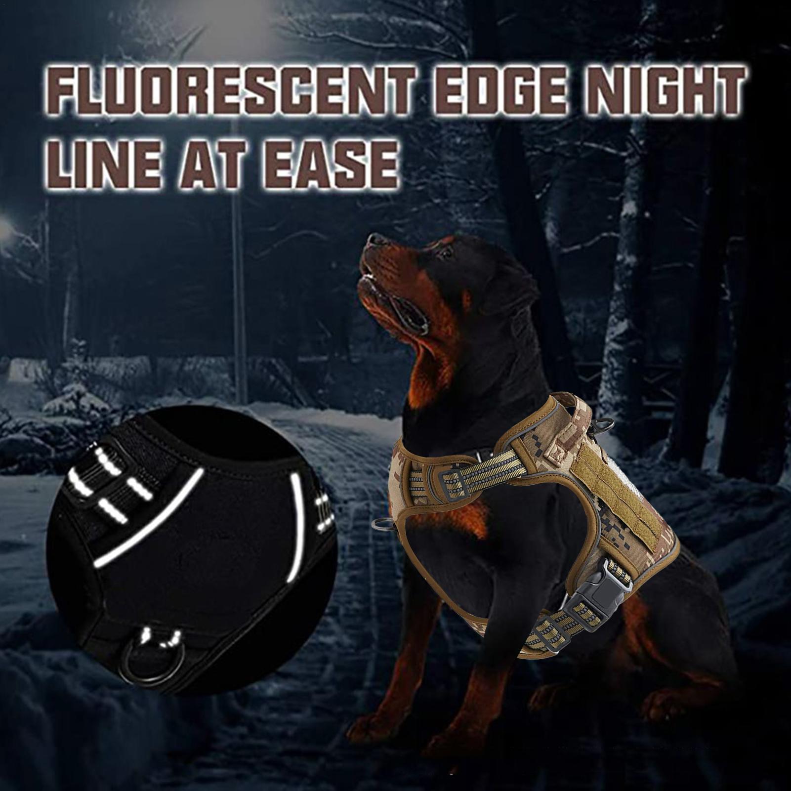 สายรัดสุนัขแบบมีหัวเข็มขัดโลหะ - Outdoor Hunting Dog Collar บทวิจารณ์และราคา