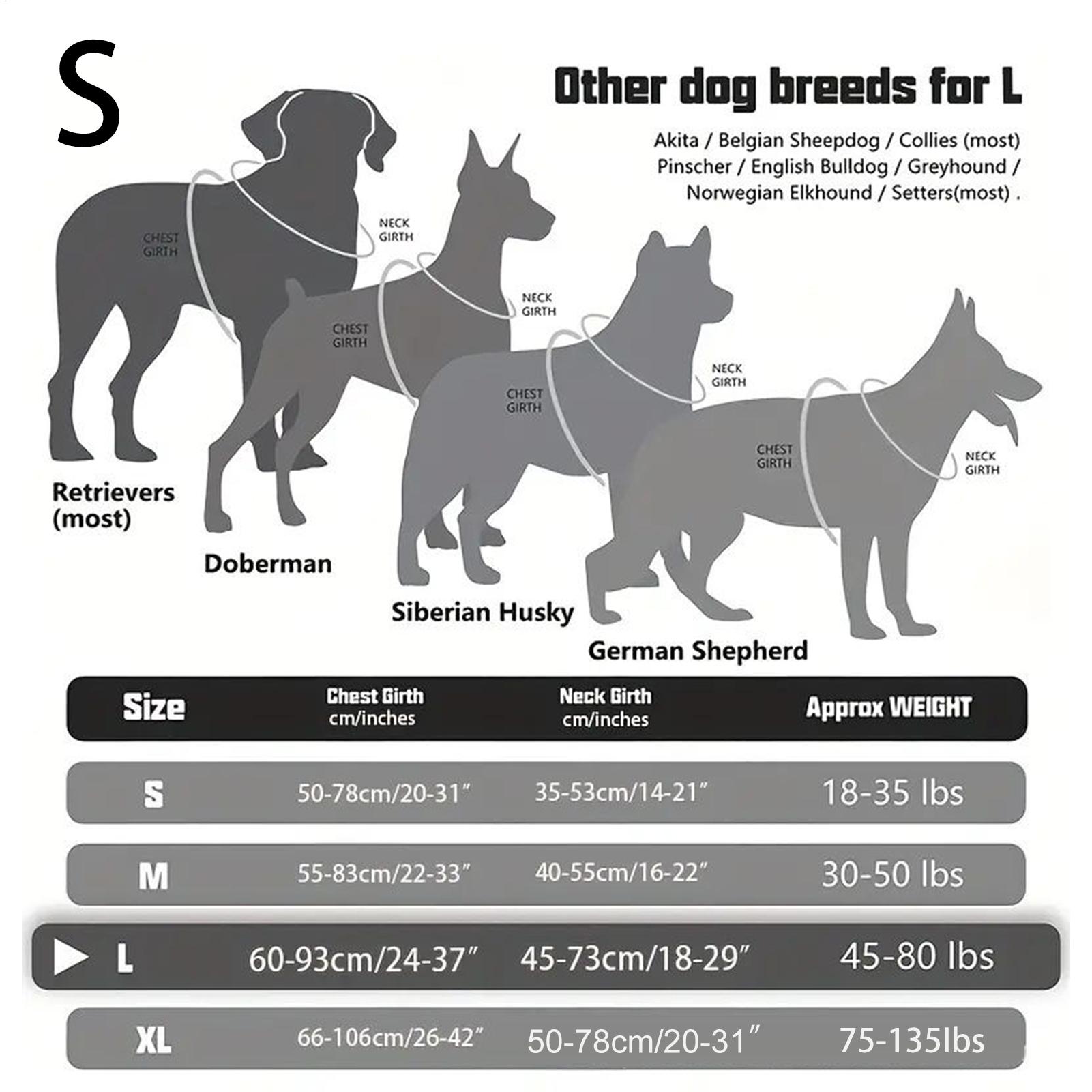สายรัดสุนัขแบบมีหัวเข็มขัดโลหะ - Outdoor Hunting Dog Collar บทวิจารณ์และราคา