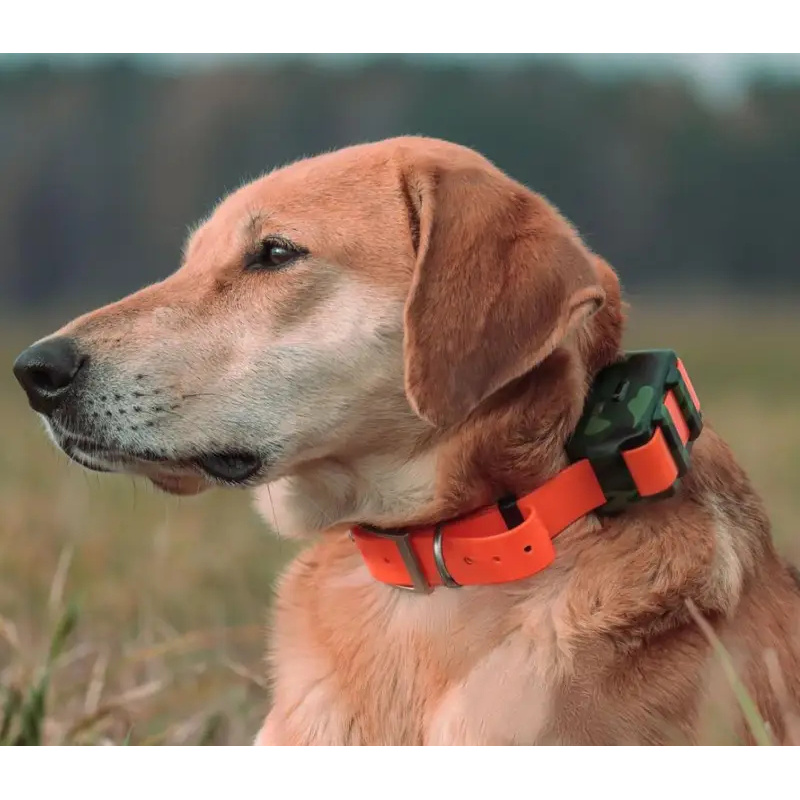 ICAR IK122M เครื่องติดตาม GPS  - Outdoor Hunting Dog Collar บทวิจารณ์และราคา