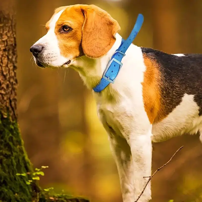ปลอกคอสุนัข TPU สำหรับกิจกรรมก - Outdoor Hunting Dog Collar บทวิจารณ์และราคา