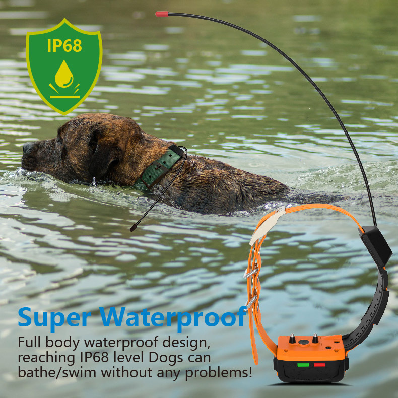 ปลอกคอสุนัขระบบ GPS 4G พร้อมโห - Outdoor Hunting Dog Collar บทวิจารณ์และราคา